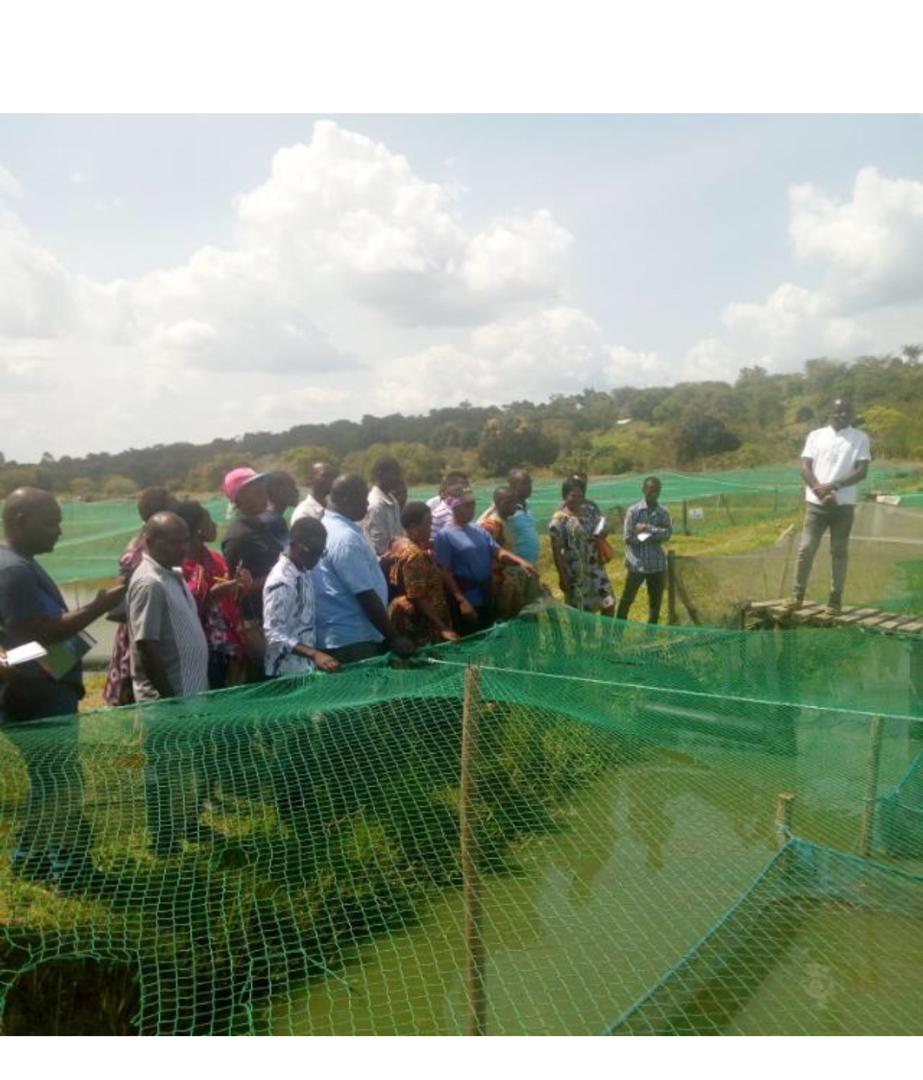 Additional hatchery support equipment