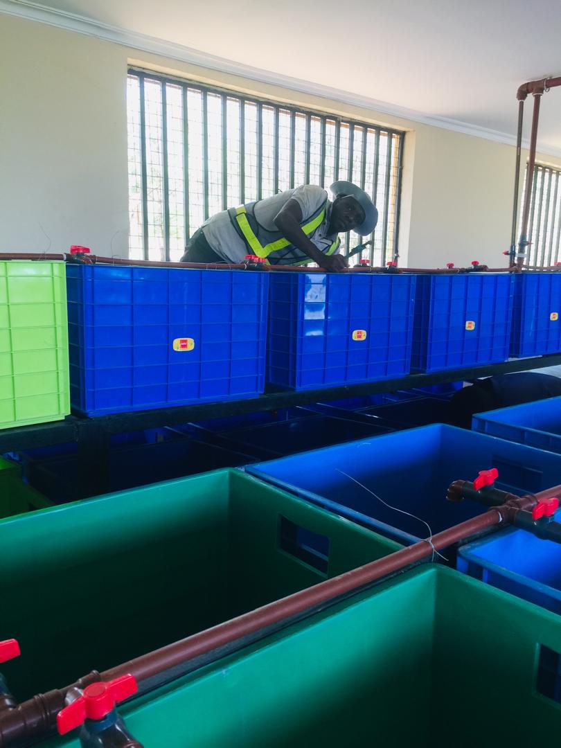 Modern aquaculture production facility